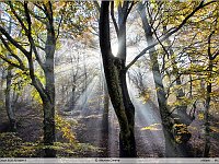autunno 2011 (8)